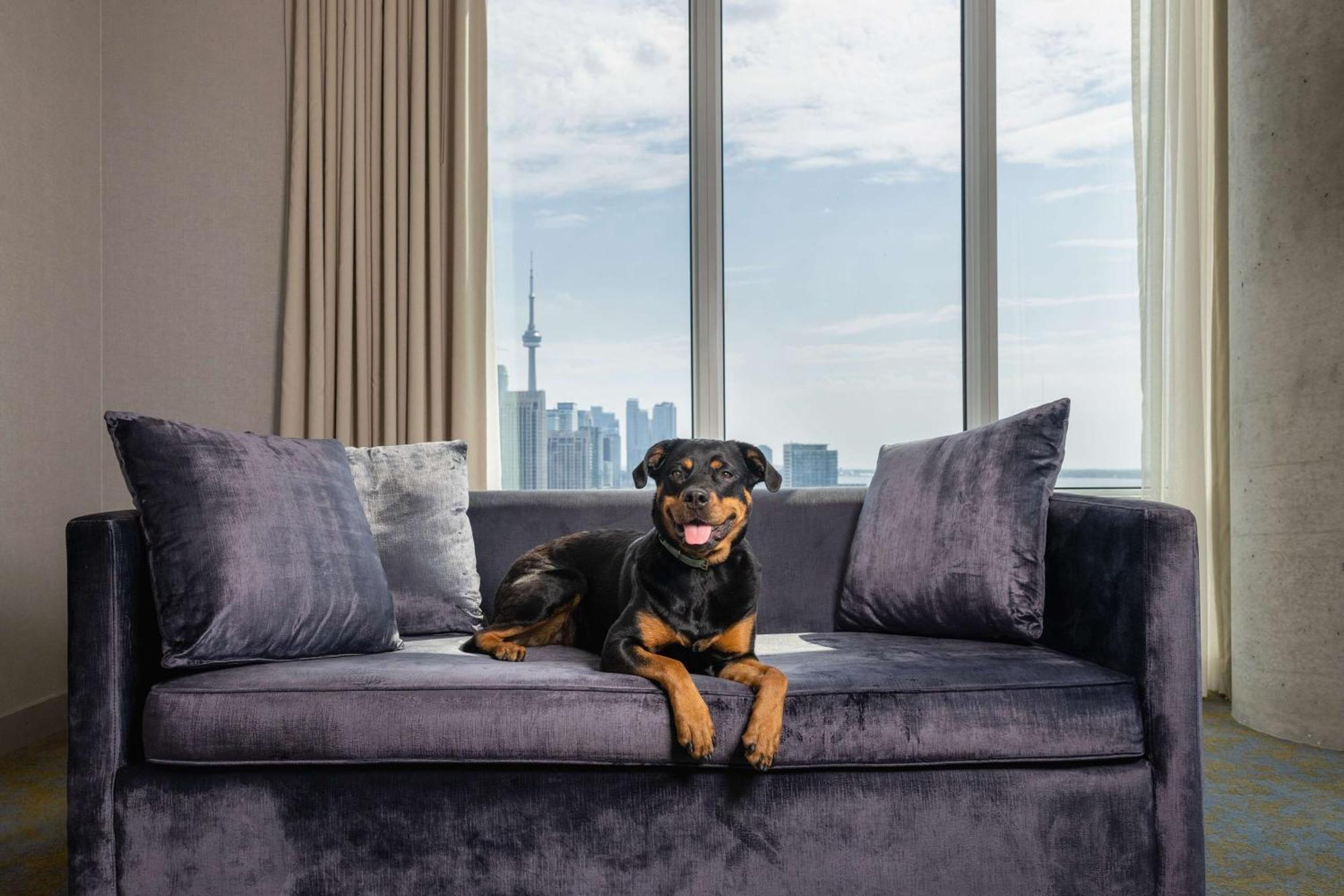 Hotel X Toronto, A Destination By Hyatt Hotel Εξωτερικό φωτογραφία